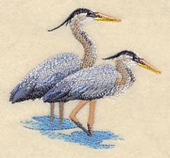 Great Blue Herons Wading - Image 2