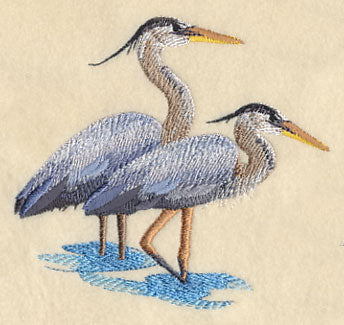 Great Blue Herons Wading - Image 3