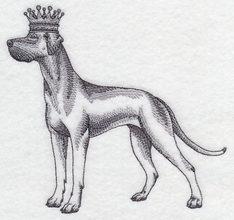 Great Dane in Crown - Image 4