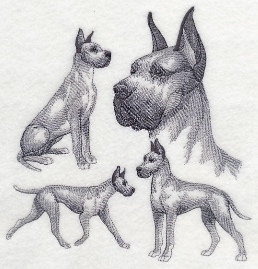 Great Dane Sketch (Cropped Ears) - Image 2