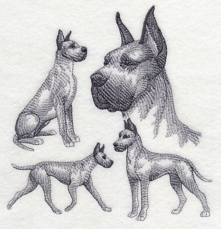 Great Dane Sketch (Cropped Ears) - Image 3