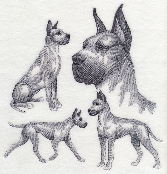 Great Dane Sketch (Cropped Ears) - Image 5