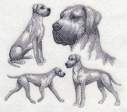Great Dane Sketch (Full Ears) - Image 3