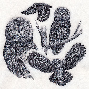 Great Grey Owl Sketch - Image 4
