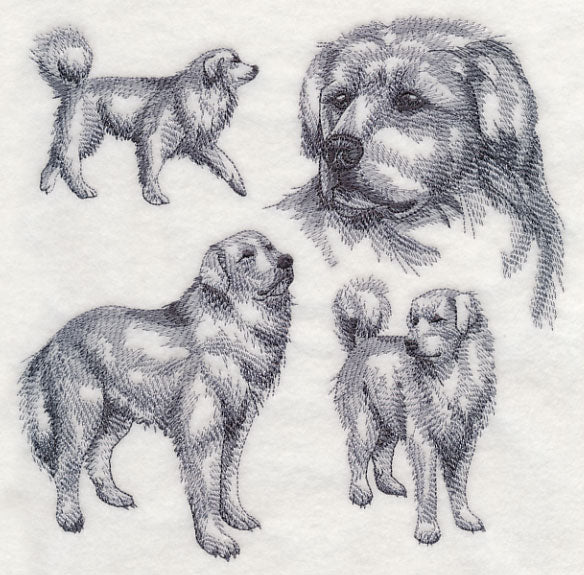Great Pyrenees Sketch - Image 5