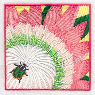 Green Protea Beetle on Protea Flower - Image 4