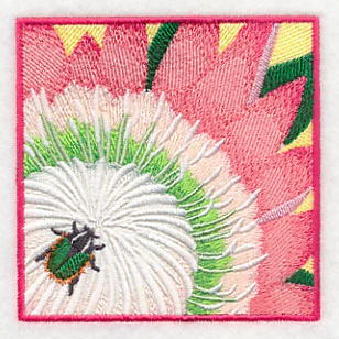 Green Protea Beetle on Protea Flower - Image 5