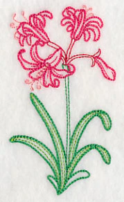 Guernsey Lily (Vintage) - Image 4