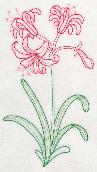 Guernsey Lily (Vintage) - Image 5