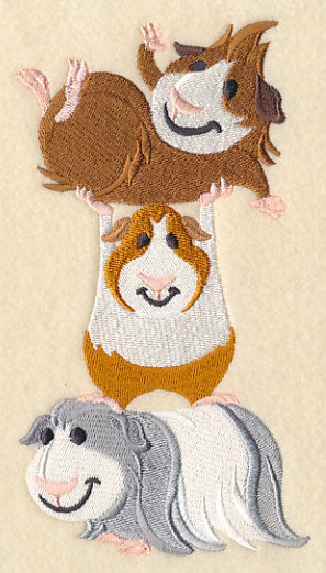 Guinea Pig Stack - Image 2