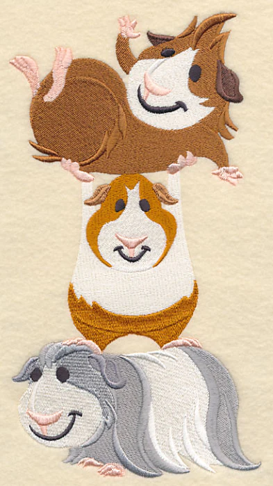 Guinea Pig Stack - Image 4