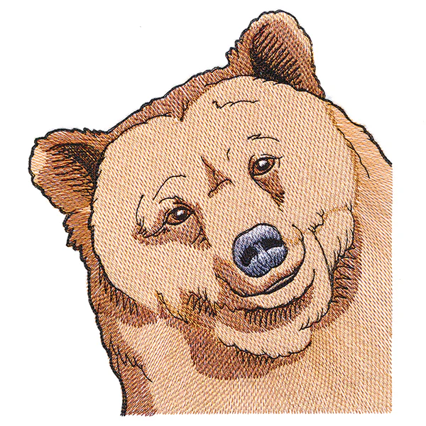 Happy Peeking Bear - Image 7