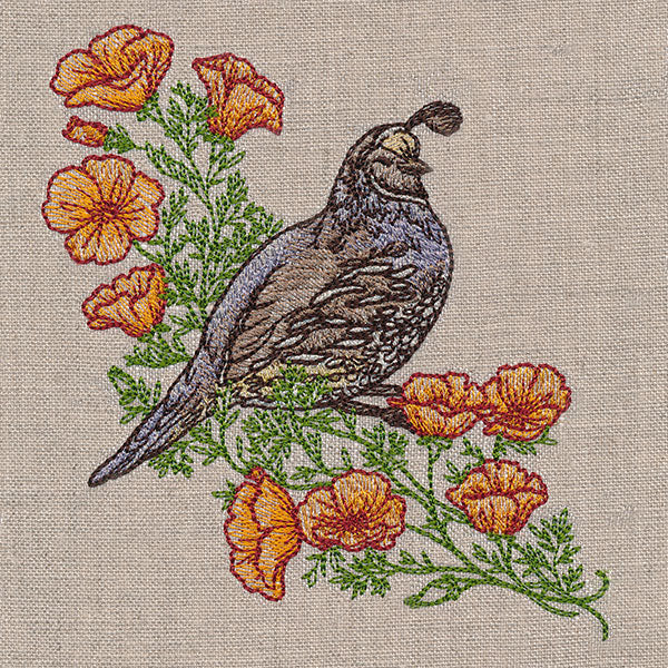 Happy Quail and Poppies - Image 5