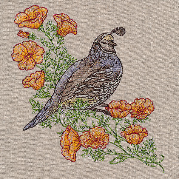 Happy Quail and Poppies - Image 7