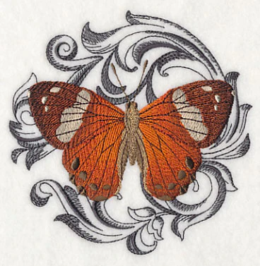 Harlequin Metalmark with Baroque Background - Image 4