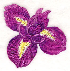 Heart of Irises Single - Image 3