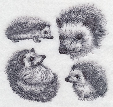 Hedgehog Sketch - Image 3