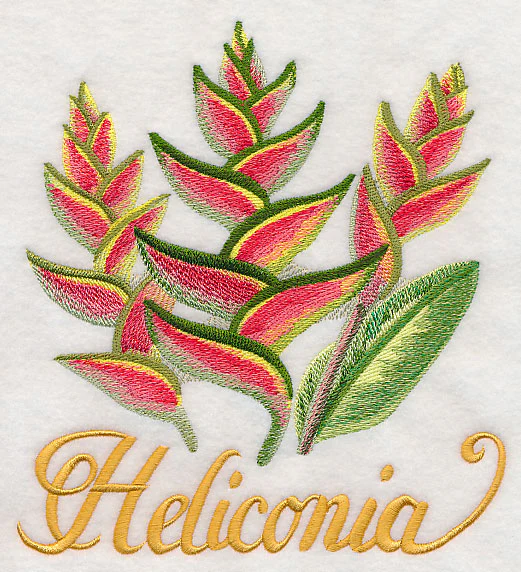 Heliconia in Watercolor - Image 4