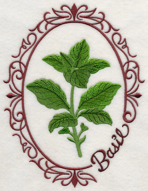 Herb Cameo - Basil - Image 4