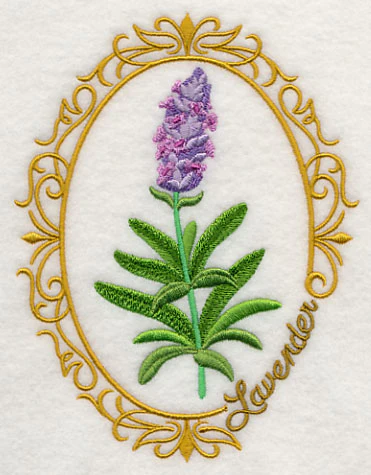 Herb Cameo - Lavender - Image 3