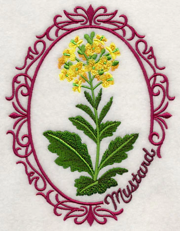Herb Cameo - Mustard - Image 3