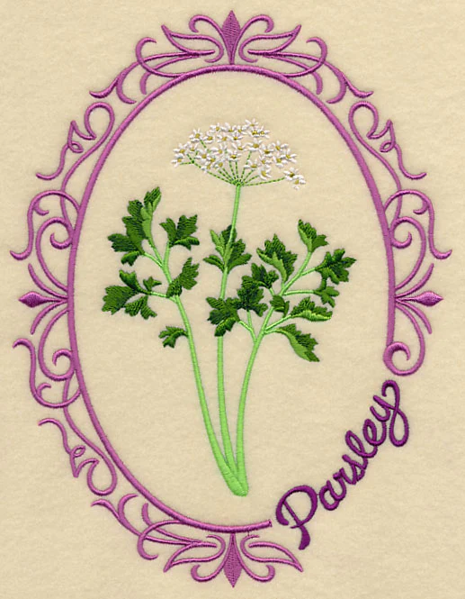 Herb Cameo - Parsley - Image 4