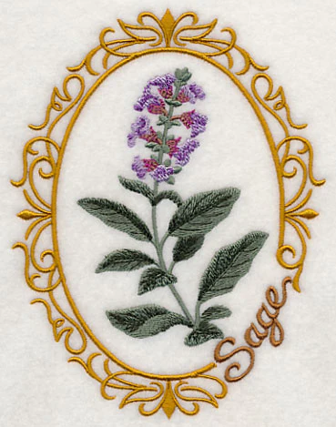 Herb Cameo - Sage - Image 3