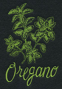 Herb Sketch - Oregano - Image 3