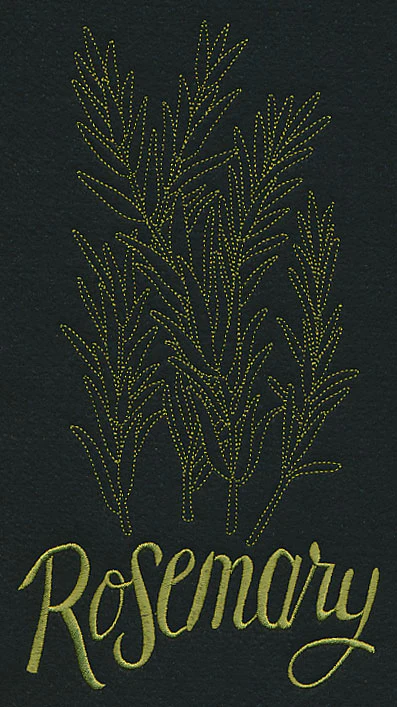 Herb Sketch - Rosemary - Image 4