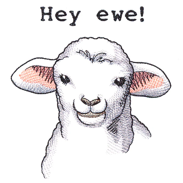 Hey Ewe - Image 3