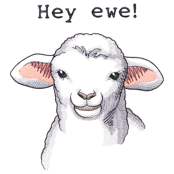Hey Ewe - Image 4