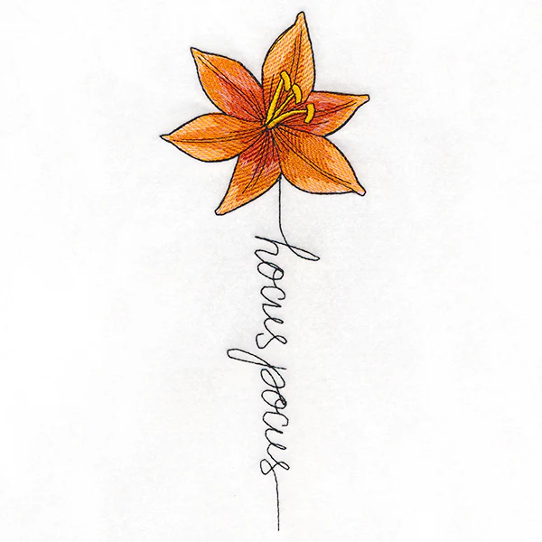 Hocus Pocus Bloom Lily - Image 2