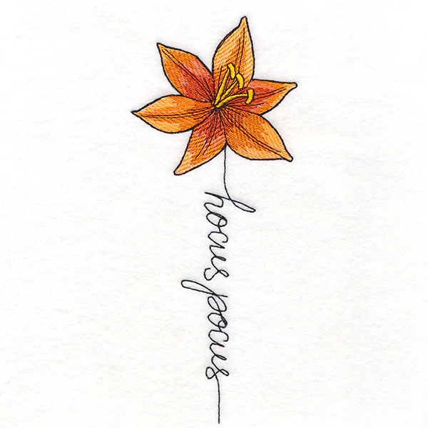Hocus Pocus Bloom Lily - Image 3