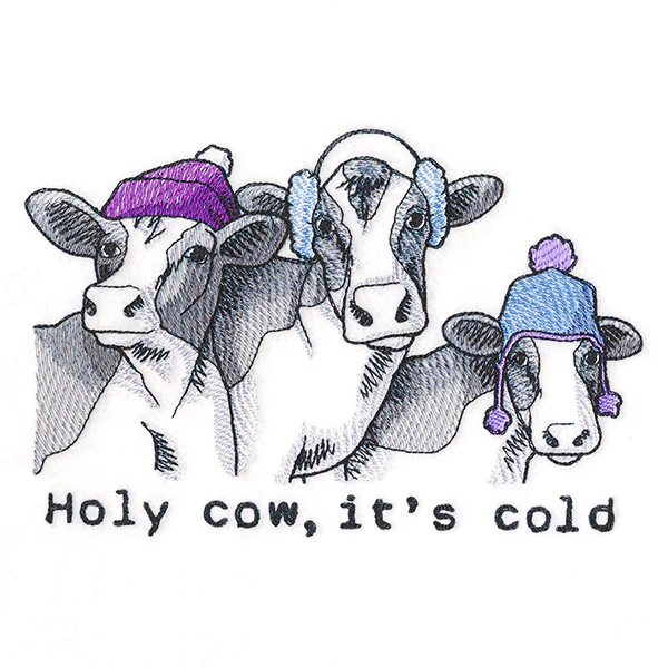 Holy Cow, It's Cold Cows - Image 5