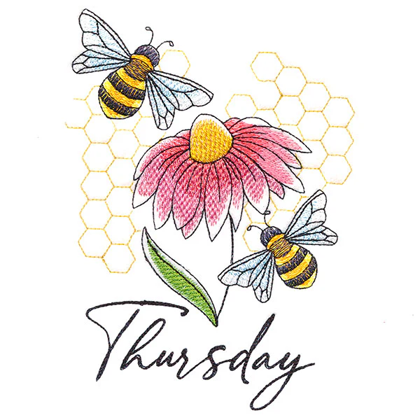 Honeybees & Echinacea On Thursday - Image 5