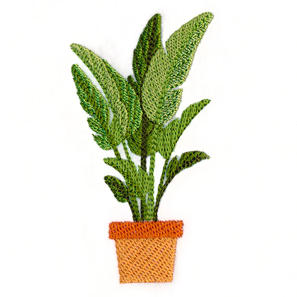 Houseplant Heaven - Bird of Paradise - Image 2