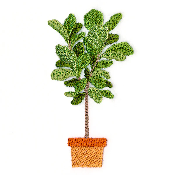 Houseplant Heaven - Fiddle Leaf Fig - Image 2