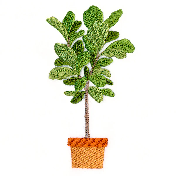 Houseplant Heaven - Fiddle Leaf Fig - Image 3
