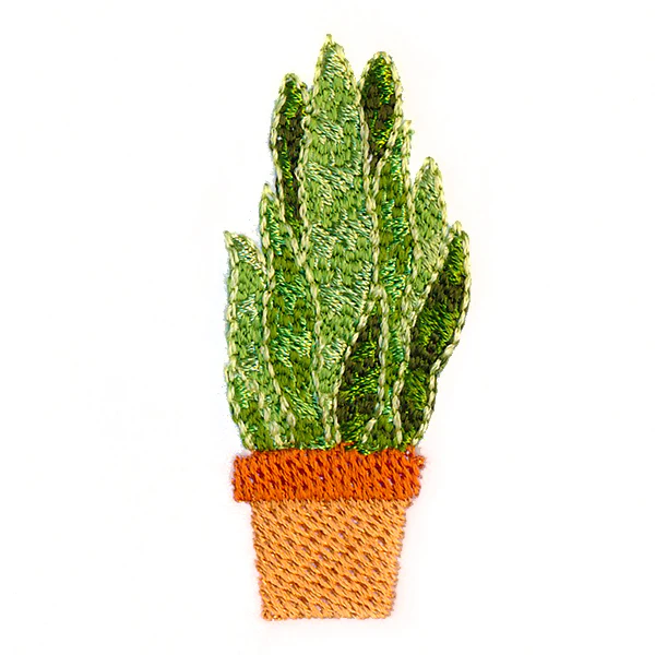 Houseplant Heaven - Sansevieria - Image 2