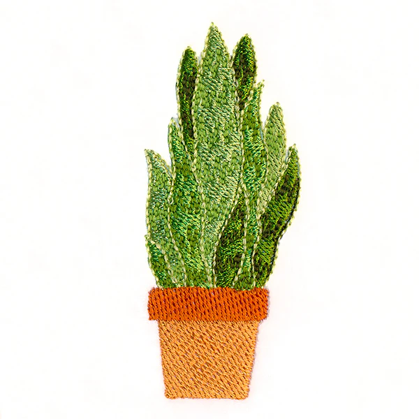 Houseplant Heaven - Sansevieria - Image 3