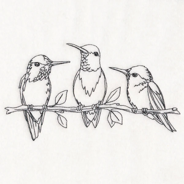 Hummingbird Social - Image 4