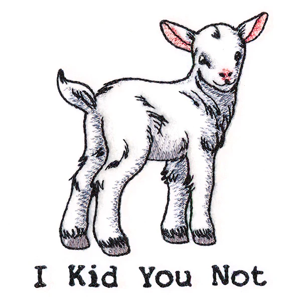 I Kid You Not - Image 4