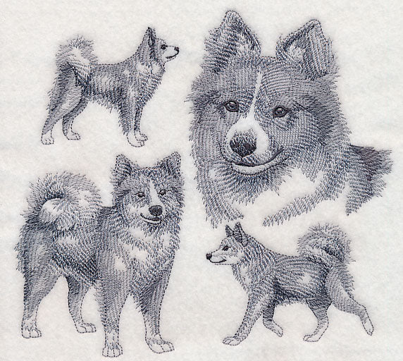 Icelandic Sheepdog Sketch - Image 4