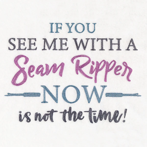 If You See Me With a Seam Ripper - Image 5