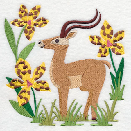 Impala and Tiger Orchid - Image 3