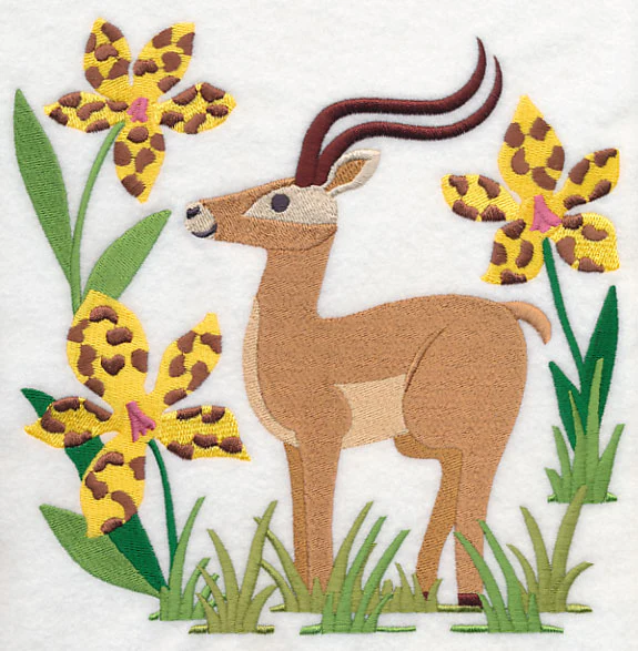 Impala and Tiger Orchid - Image 6