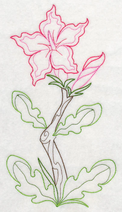 Impala Lily (Vintage) - Image 5