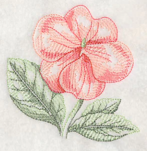 Impatiens Beauty - Image 5