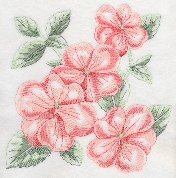 Impatiens Sketch - Image 6