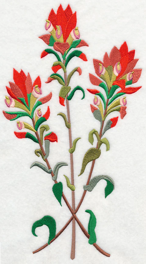 Indian Paintbrush 2 - Image 5